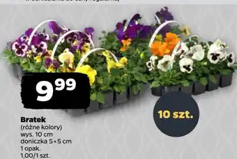 Netto Bratki oferta