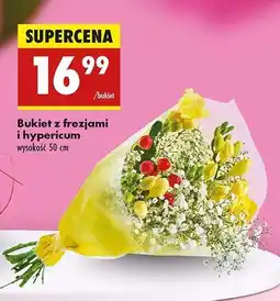 Biedronka Bukiet z frezjami i hypericum oferta