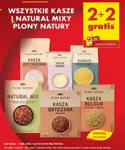 Biedronka Kasza gryczana, czerwona soczewica, suszone pomidory i pestki dyni Plony Natury Natural Mix oferta