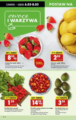 Biedronka Rzodkiewka oferta