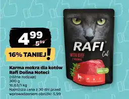 Netto Karma dla kota z wołowiną Rafi Cat oferta