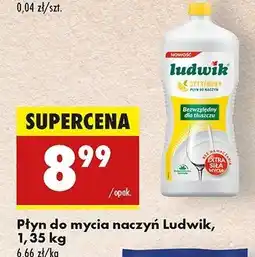 Biedronka Płyn do mycia naczyń cytrynowy Ludwik oferta