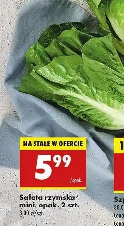 Biedronka Sałatka rzymska mini oferta