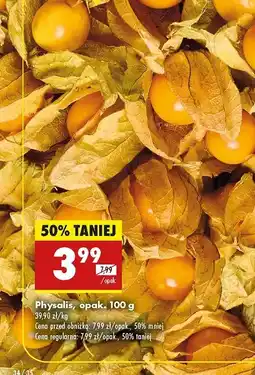 Biedronka Physalis oferta