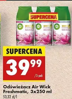 Biedronka Wkład magnolia i kwiat wiśni Air Wick Freshmatic oferta