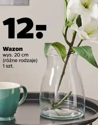 Netto Wazon 20 cm oferta