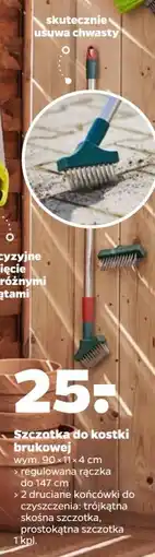 Netto Szczotka do kostki brukowej Garden Tech oferta