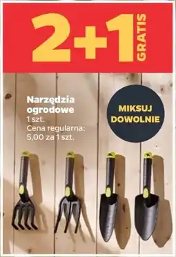 Netto Pazurki ogrodowe Garden Tech oferta