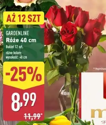 ALDI Bukiet róż 40 cm Gardenline oferta