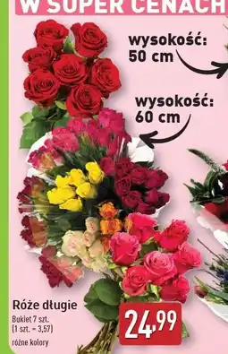 ALDI Róże długie 60 cm oferta