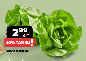 Netto Sałata masłowa oferta