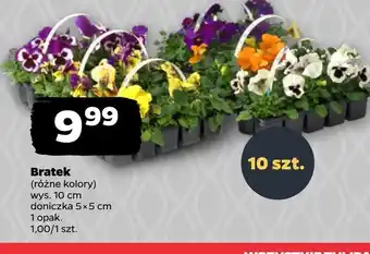 Netto Bratek oferta