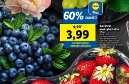 Lidl Borówki amerykańskie oferta