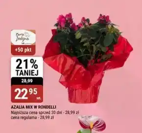 bi1 Azalia ME+ oferta