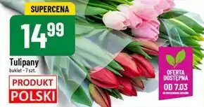 Polomarket Bukiet tulipanów Tulipany oferta