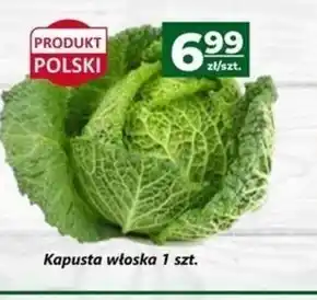 Społem Kapusta Polski oferta