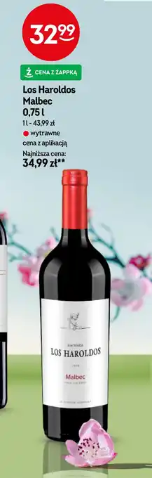 Żabka Wino Malbec oferta