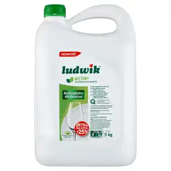 ALDI Ludwik Płyn do mycia naczyń miętowy 5 kg oferta