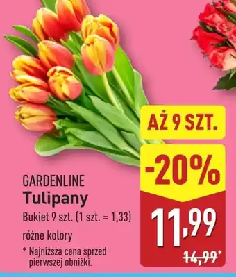 ALDI Bukiet tulipanów Gardenline oferta