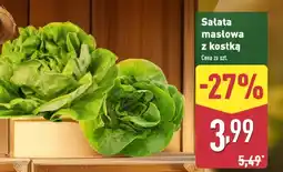 ALDI Sałata masłowa oferta