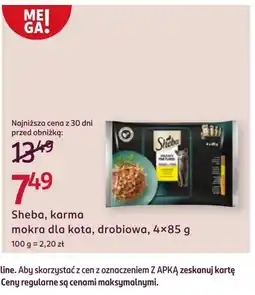 Rossmann Mokra karma dla kota oferta