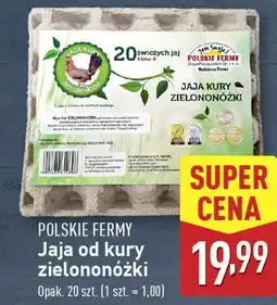 ALDI POLSKIE FERMY Jaja od kury zielononóżki oferta