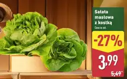 ALDI Sałata masłowa oferta