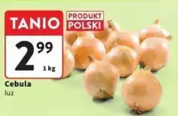 Intermarche Cebula oferta