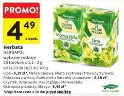 Intermarche Herbata oferta