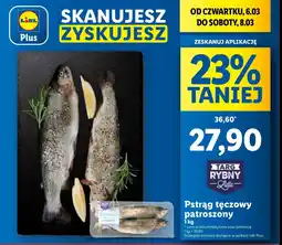 Lidl Pstrąg tęczowy patroszony cały Rybny targ lidla oferta