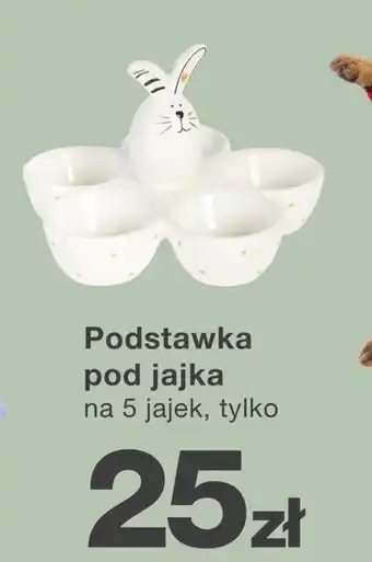 KiK Podstawka na jajka oferta