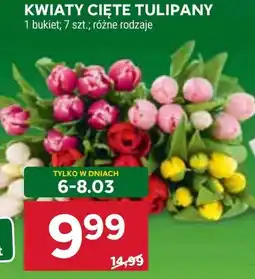 Stokrotka Market Bukiet tulipanów Tulipany oferta