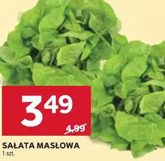 Stokrotka Market Sałata masłowa oferta