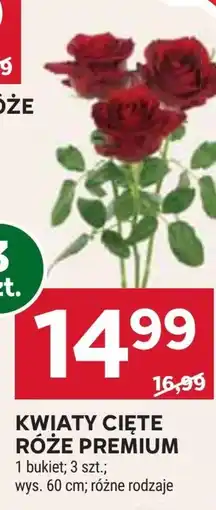 Stokrotka Market Bukiet róż Premium oferta