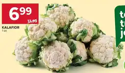 Stokrotka Kalafior oferta