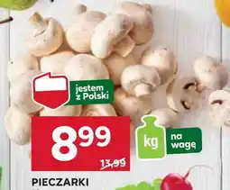 Stokrotka Pieczarki Polski oferta