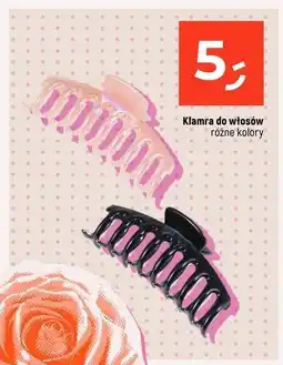 Dealz Klamra do włosów oferta