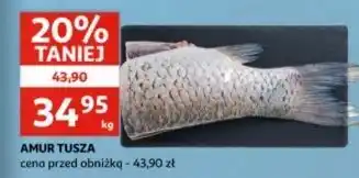 Auchan Amur tusza oferta