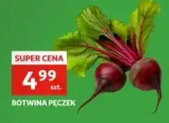 Auchan Botwinka pęczek oferta