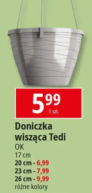 E.Leclerc Doniczka wisząca tedi 17 cm Ok Katarzyna Ostrowska oferta