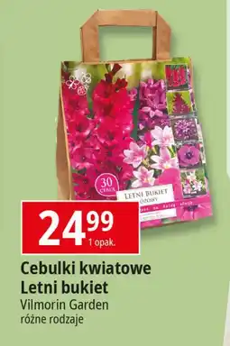 E.Leclerc Cebulki letni bukiet Vilmorin Garden oferta