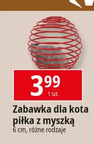 E.Leclerc Zabawka dla kota piłka oferta