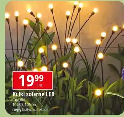 E.Leclerc Kulki solarne 10 led multikolor Cortina oferta