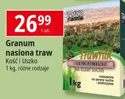 E.Leclerc Trawnik dekoracyjny Kość I Uszko oferta