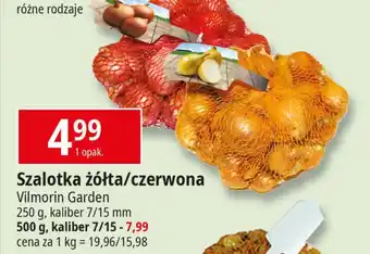 E.Leclerc Szalotka czerwona Vilmorin Garden oferta