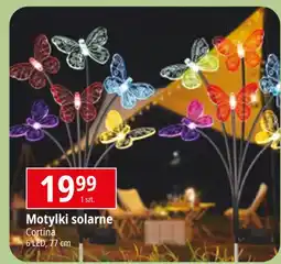 E.Leclerc Motyl solarny na piku Cortina oferta