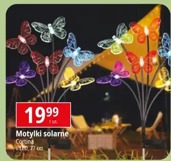 E.Leclerc Motyl solarny na piku Cortina oferta