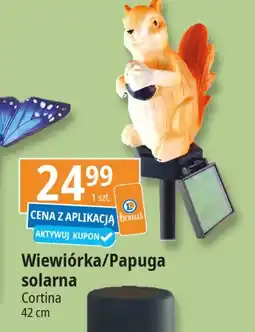 E.Leclerc Papuga solarna Cortina oferta