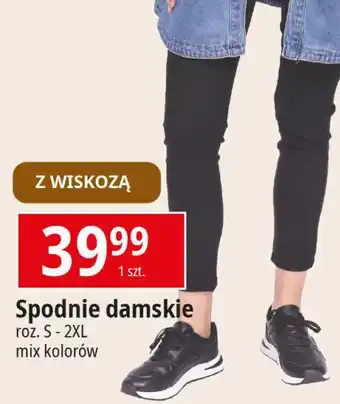 E.Leclerc Spodnie damskie s-xxl oferta