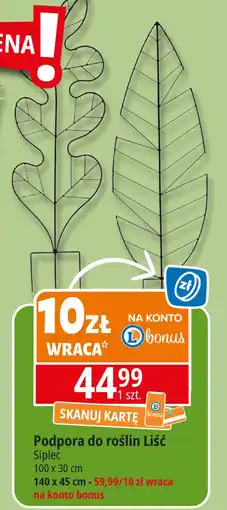 E.Leclerc Podpora do roślin liść 140 x 45 cm Siplec oferta